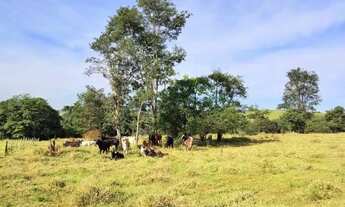Imagem 3: Área 13,58 hectares, próximo do Distrito Cruzeiro dos Peixotos