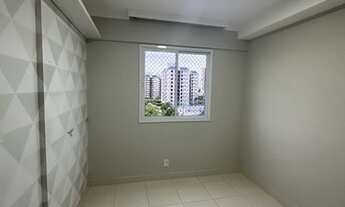 Imagem 4: ! Arboris Jabotina