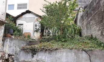 Imagem 3: São Paulo - Terreno Padrão - Vila Prudente