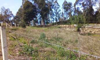 Imagem 3: Vende se ou troca chácara ná barra do Capivari