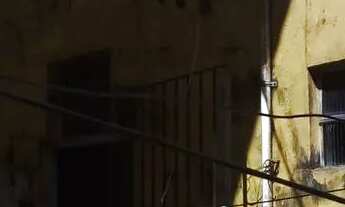 Imagem: Quitinete Altos e Baixos