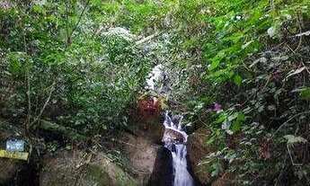 Imagem 3: Sítio à venda, 63000 m² por R$ 2.900.000,00 - Santa Barbara (São Francisco Xavier) - São J