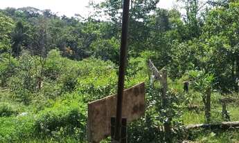 Imagem 3: Vendo sítio no ramal do pau rosa km 21