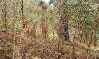 Imagem 7: Atibaia 1.000m² R$ 140.000,00 Parcelado em 24 vezes!