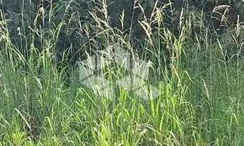 Imagem 5: Terreno com 517,04 m2 em área nobre na serra gaúcha por R$ 540.600,00