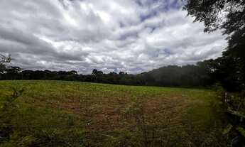 Imagem 7: Terreno para Venda em São José dos Pinhais, Jurema