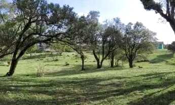 Imagem 5: CAXIAS DO SUL - Terreno Padrão - ANA RECH