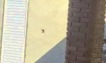 Imagem 4: CASA EM CONDOMÍNIO - JARDIM SHANGRI-LÁ - SP