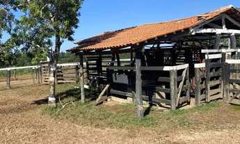 Imagem 7: Fazenda a venda em Crixas / Goiás