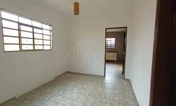 Imagem 7: Locação de Casas / Padrão na cidade de Araraquara