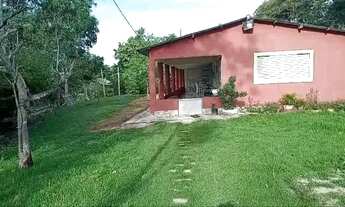 Imagem 4: Sítio à venda, BR, Rosário Oeste, MT