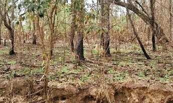 Imagem 6: Atibaia 1.000m² R$ 140.000,00 Parcelado em 24 vezes!