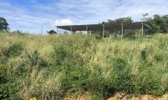 Imagem 6: Granja para 1200 Poedeiras