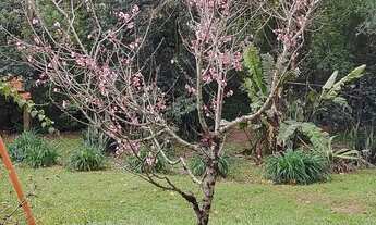 Imagem: Vendo sítio de 2 hectares 5 dormitórios