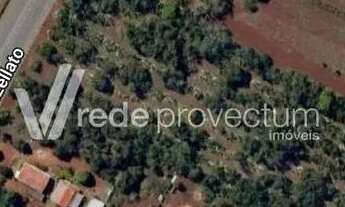 Imagem 3: área - Betel - Paulínia