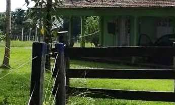 Imagem 5: FAZENDA 688 HECTARES MUNICÍPIO DE BRAGANAÇA PARÁ