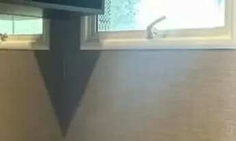 Imagem 3: Imóvel para aluguel e venda possui 161 metros quadrados com 3 quartos em São Marcos - São