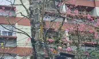 Imagem 2: Ótimo apartamento 3 dormitórios, suíte, vaga escriturada, elevador, vista perene