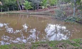 Imagem 2: Chácara Formada pra Pecuária ITAGUARI