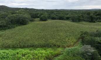 Imagem 2: Sítio 24,7 ha em Unaí/MG - Água Permanente, Casa, Pastos - Aceita Financiamento