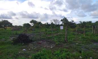 Imagem: Vendo Lote na Caponga