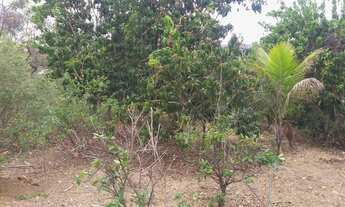 Imagem 6: Terreno de 4680 m² no bairro Campinho de Baixo (Palmital