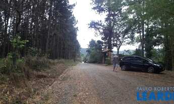 Imagem 4: TERRENO - CURURUQUARA - SP