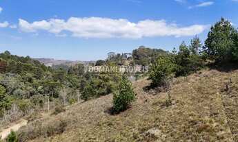 Imagem 7: Maravilhoso Lote de Terreno à Venda na Região de Descansópolis - Campos do Jordão/SP