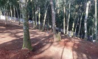 Imagem 3: Terreno à venda, 2514 m² por R$ 900.000,00 - Granja Viana - Cotia/SP