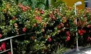 Imagem 6: Apartamento 4 Quartos para Venda em Cabedelo, Ponta de Campina, 4 dormitórios, 4 suítes, 4