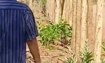 Imagem 3: Terreno 7. 000m2