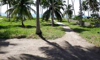 Imagem 5: Casa Mobiliada. Beira Mar. 3/4. Maragogi. Praia de Peroba