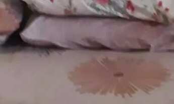 Imagem 5: CASA EM RUA PÚBLICA - 17 DE MARÇO [25660