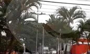 Imagem 6: Salão comercial para alugar em Núcleo Habitacional Brigadeiro Faria Lima, Indaiatuba - SP