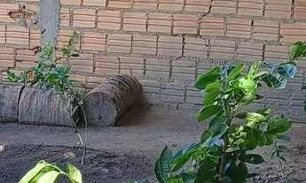 Imagem 7: Vende-se ou troca