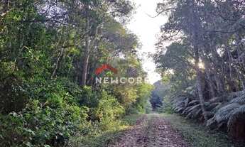 Imagem 6: Lote em Rua Colinas - Colinas - São Francisco de Paula/RS