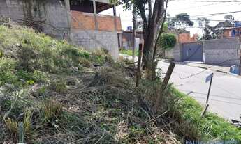 Imagem 6: TERRENO - JARDIM NOVA VIDA - SP