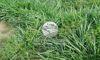 Imagem 5: Venda - Sítio - Machadinho D'Oeste - 8 Alqueires