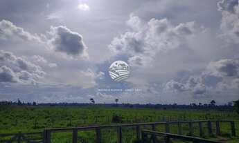 Imagem 2: Venda - Fazenda - Machadinho D'Oeste - 175 Alqueires top para soja