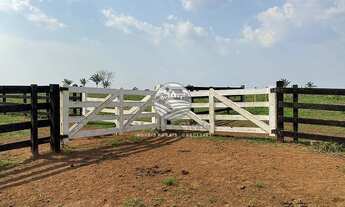 Imagem 4: Venda - Fazenda - Alvorada D'Oeste - Alvorada