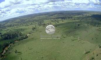 Imagem 4: Venda - Sítio - Vale do Anari - 25 Alqueires escriturada