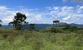Imagem 7: Urubici/Sítio/Área Rural com 3,00ha de área total, para venda. Pericó, São Joaquim (SC