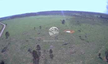 Imagem 4: Venda - Fazenda - Machadinho D'Oeste - 175 Alqueires top para soja