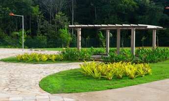 Imagem 2: CONDOMÍNIO ALPHAVILLE - VENDO LOTE NASCENTE C/ 456,46M² - CÓDIGO: 3046