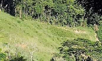 Imagem 3: Terra em Limoeiro rod. V. Nova x Castelo