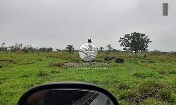 Imagem 7: Venda - Sítio - Theobroma - Theobroma