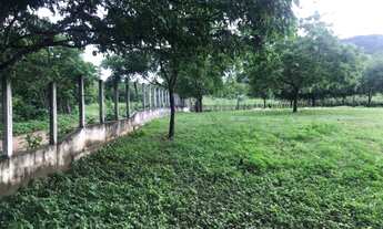 Imagem 6: Fazenda a venda próximo a Quixadá/CE