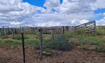 Imagem 7: Fazenda no Município de mambaí, GO<br>com área total de 950 alqueires ou 4.600 hecta