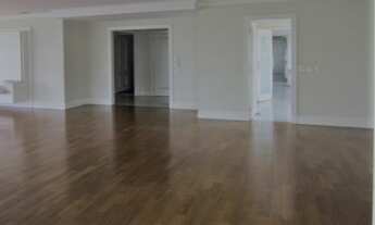 Imagem 6: Paraíso - Rua Plana e Arborizada - Junto a Curitiba Próximo ao Parque Ibirapuera - $ 5.50