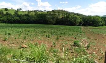 Imagem 3: Otima chacara a venda 20.500m2